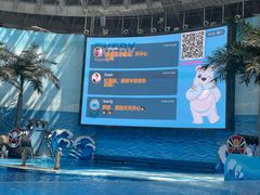 -海合安成都极地海洋公园
