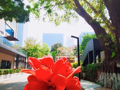 -金河半岛园林酒家(金融城店)