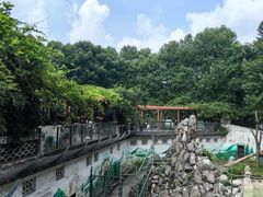 -成都动物园