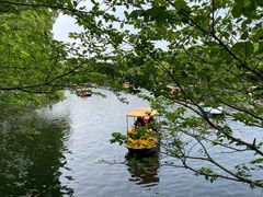 -上海共青森林公园