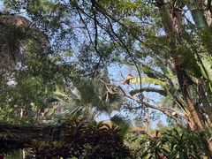 -海南热带野生动植物园