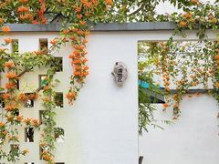 -杭州天目山静雅居农家乐