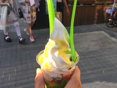 -Salud撒露欧洲冻酸奶(798艺术区店)