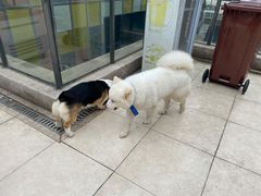 -阿尔法海鲜排档(爱琴海店)
