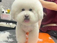 -宠物家(角门东店)