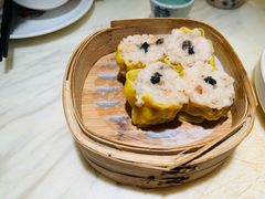 蒸带子皇-陶陶居酒家(SM二期购物广场店)