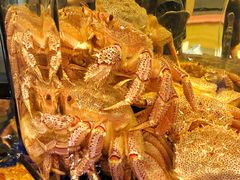 大堂-蟹道乐(道顿堀本店)