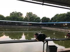 -北京上庄水库尚野露天户外自助烧烤