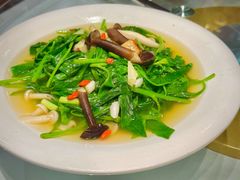 云南野菌浸富贵菜-胡记饭店(保工街店)