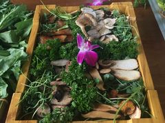 -慢丽江·云南野生菌土鸡锅(西山店)