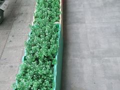 -张钰强中医正骨推拿连锁(唐家人才公寓店)