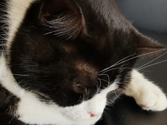 -HONGA HONGA雄家(曹路店)