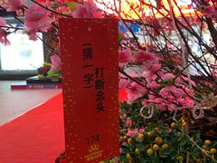 -摩登百货(岗顶店)