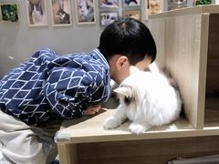-藏猫猫咖啡主题馆(中央大道店)