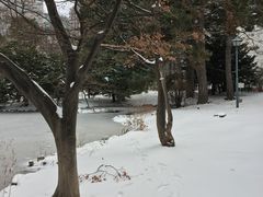 -北海道厅旧本厅舍(旧本庁舎)