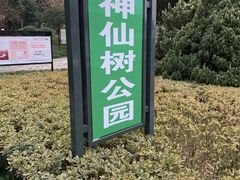 -神仙树公园