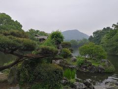 -西湖外事游船(花港观鱼码头)