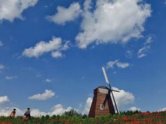 -北纬44度·金珠花海休闲农业旅游景区