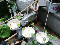 -素清香(解放路店)