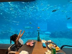 -涛·海底餐厅·美人鱼·自助餐·海底隧道(三亚海棠湾洲际度假酒店)