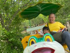 -朝阳公园游乐园