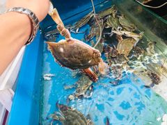 -晓琦农家菜馆·地道农家菜