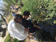-秀丽东方