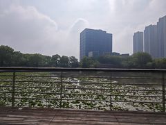 -南翔镇银翔湖公园