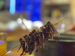 -龚海宝· 烧烤· 羊肉原切挂糊更好吃(庄市店)