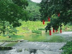 -广州市石门国家森林公园