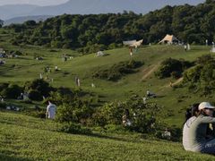 -大姆山草场