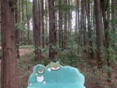 -同里国家湿地公园