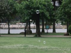 -白沙门生态公园