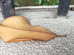 -杭州九堡客运中心