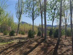 -西部长青自然儿童乐园