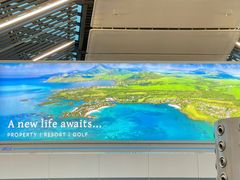 -西沃古尔·拉姆古兰爵士国际机场