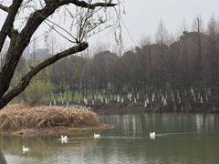 -瑶湖湿地自然保护区