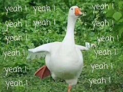 -悬壶盲人推拿按摩中心(长江路店)