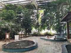 -龙达温泉生态城