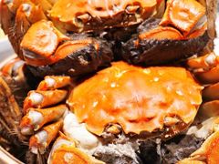 -蟹榭(静安寺晶品商场店)