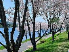 -羊山湖公园