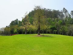 -顺峰山公园