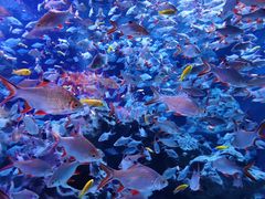 -成都浩海立方海洋公园