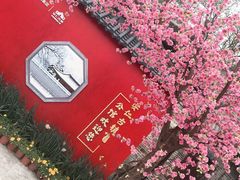 -安仁古镇