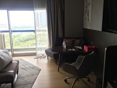 -新加坡瑞士史丹福酒店