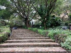 -罗浮山嘉宝田森林温泉度假酒店