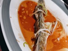 -前海沿·青岛菜(五四广场永旺店)