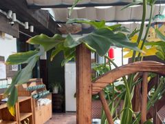 -慢丽江·云南野生菌土鸡锅(西山店)