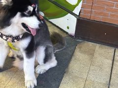 -龙湖重庆时代天街