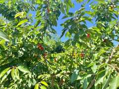 -阳台山自然风景区